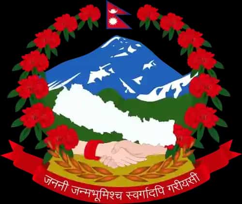 brand logo