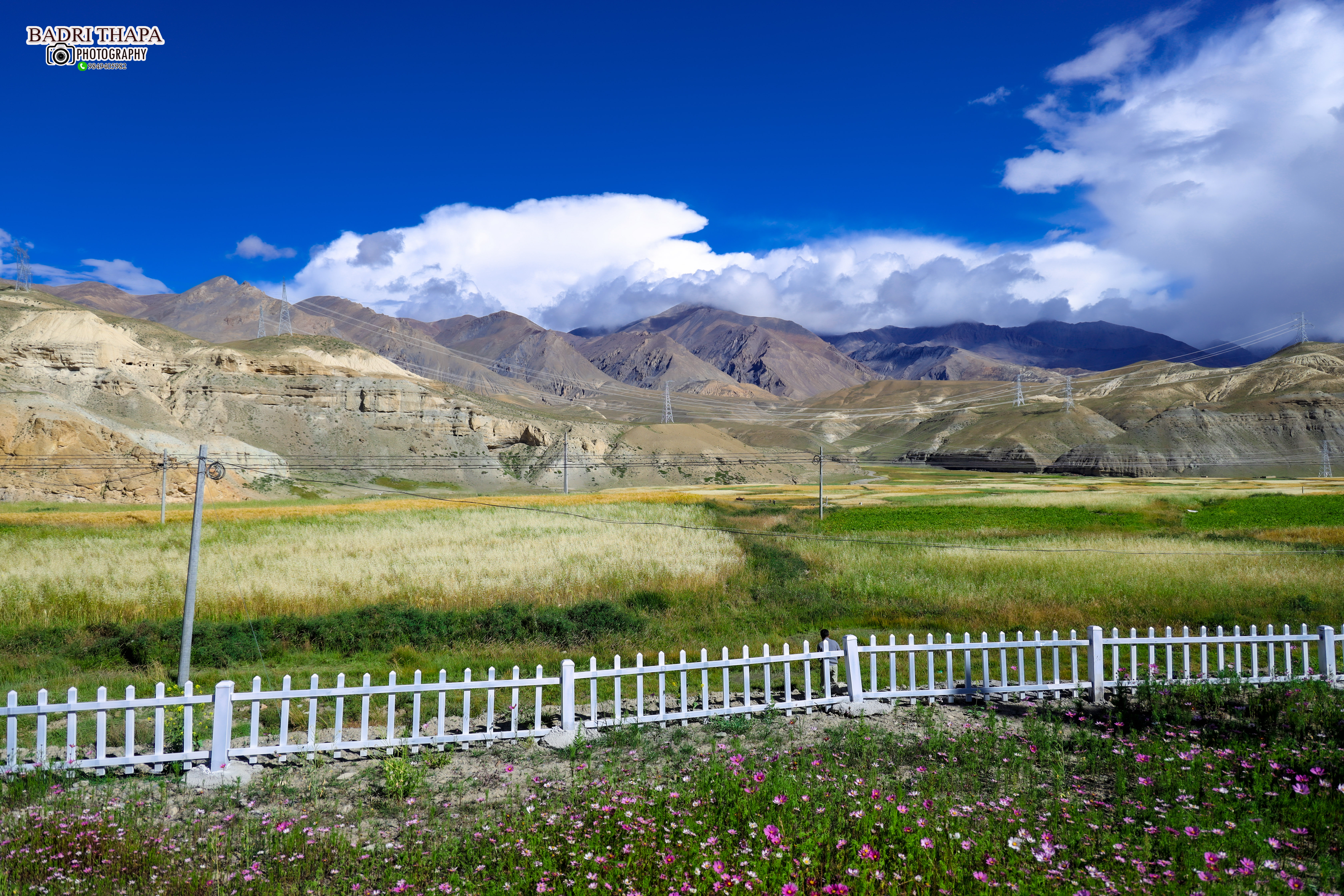 Hub of Tibetan Civilization Tour