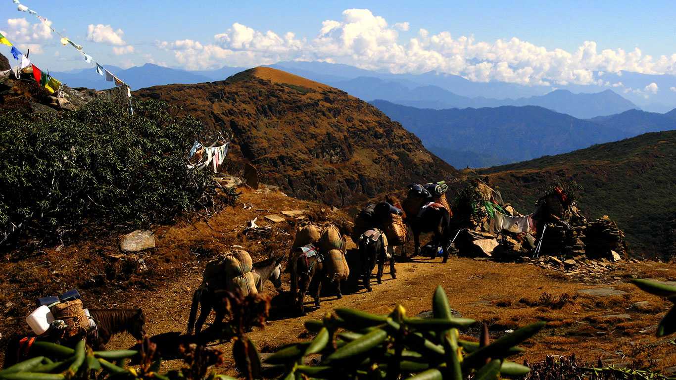 Bhutan Tour with Druk Path Tour/Trek